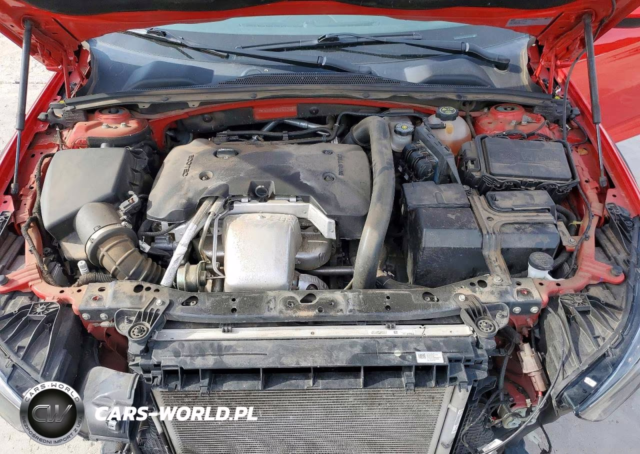 2019 Buick Regal Tourx Essence VIN:W04GV8SX6K1043404 - 12