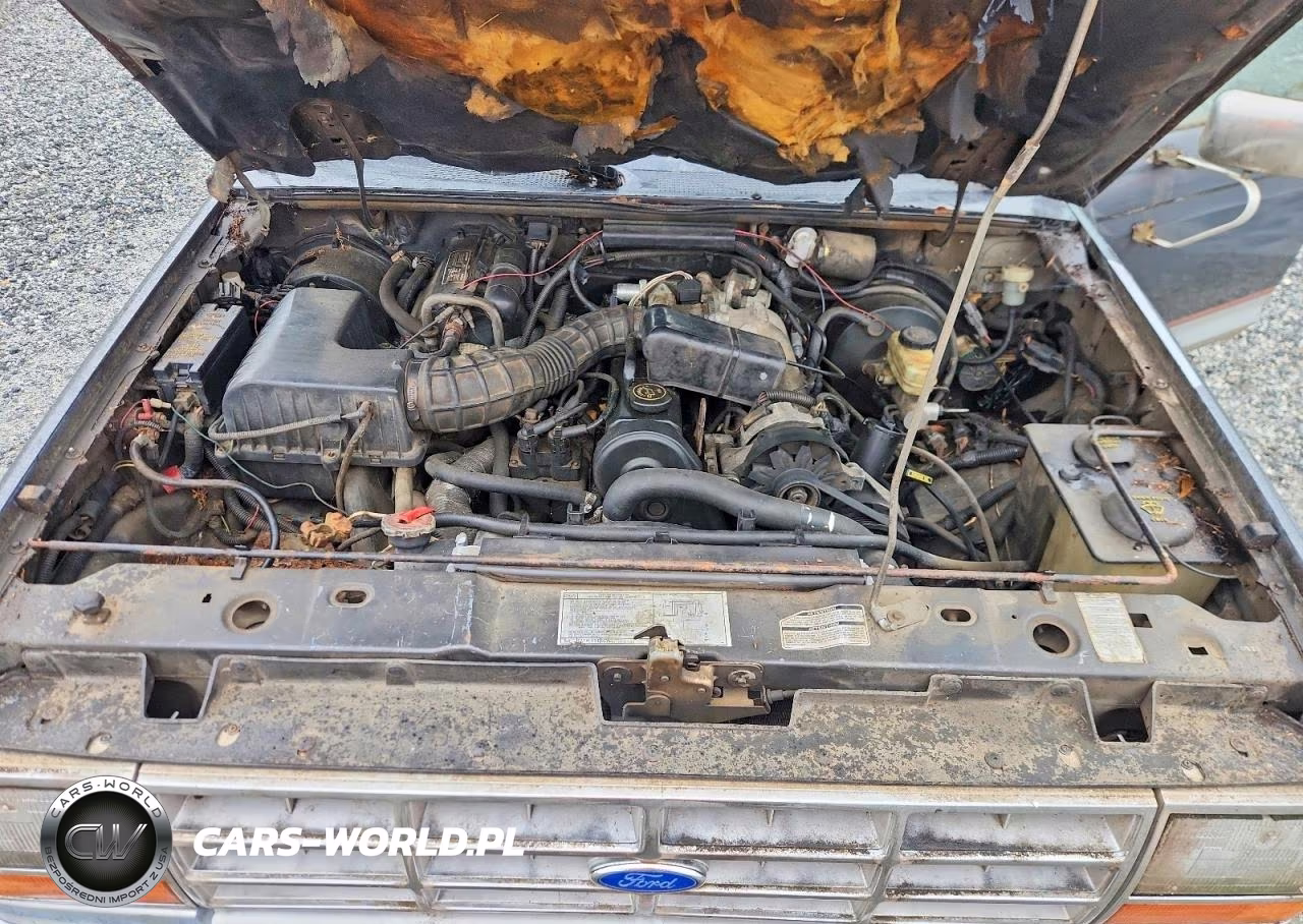 1989 Ford Ranger Super Cab VIN:1FTCR14A8KPA86972 - 11