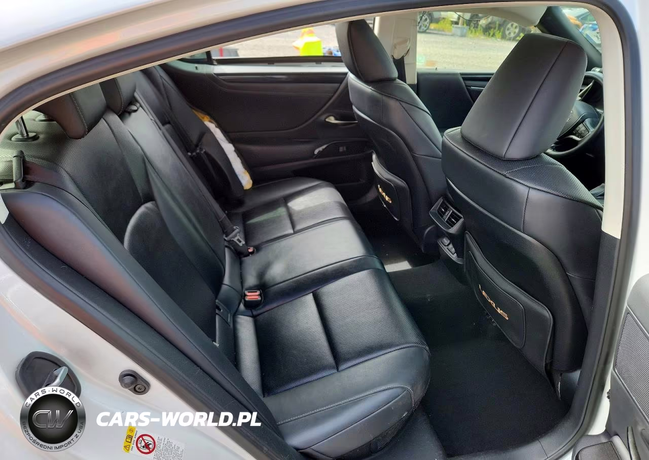 2019 Lexus Es 300H VIN:JTHB21B11K2057862 - 10