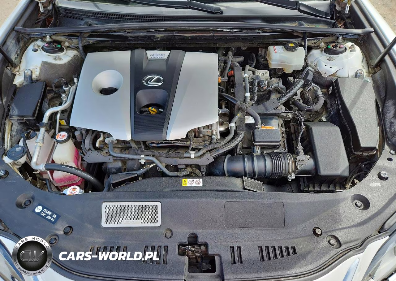 2019 Lexus Es 300H VIN:JTHB21B11K2057862 - 11