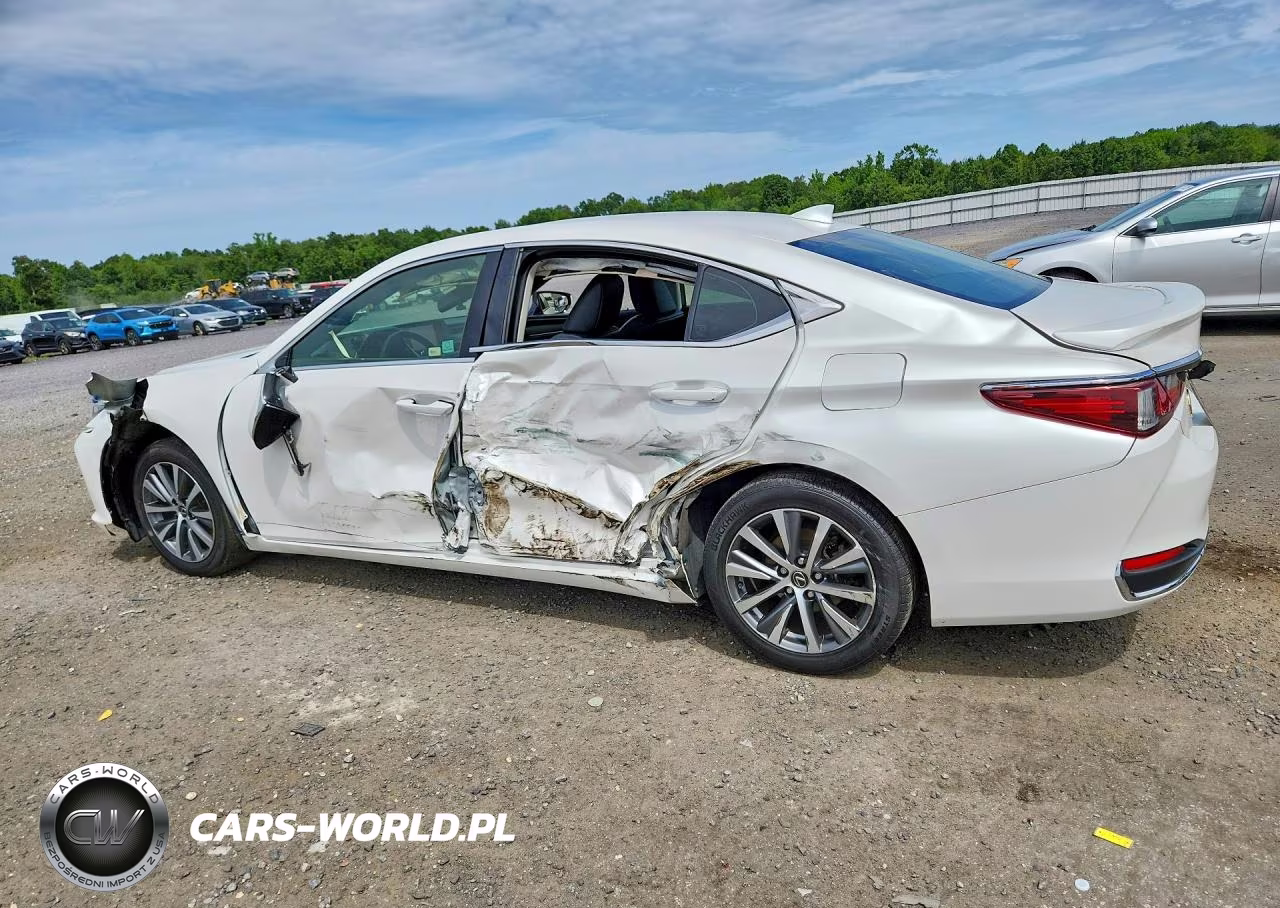 2019 Lexus Es 300H VIN:JTHB21B11K2057862 - 2