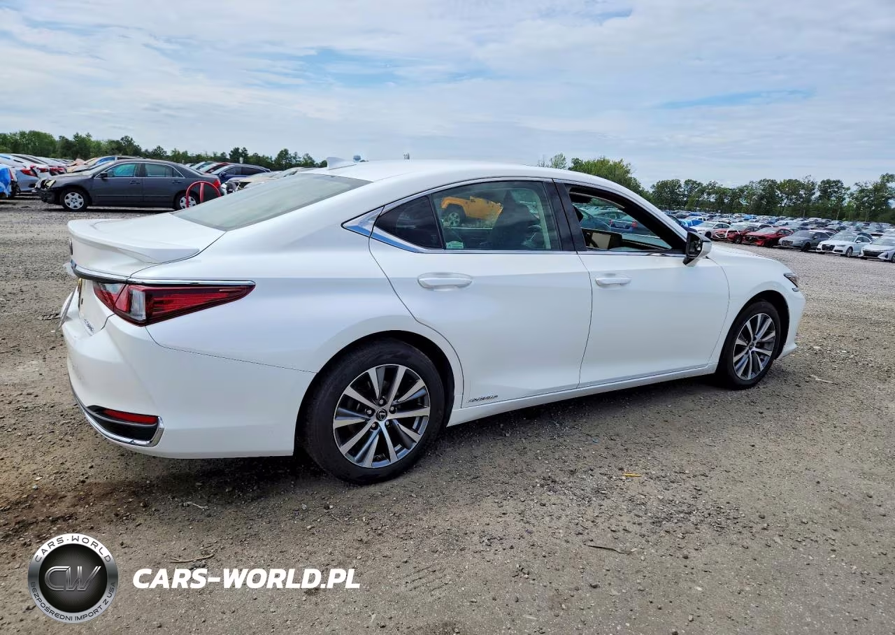 2019 Lexus Es 300H VIN:JTHB21B11K2057862 - 3