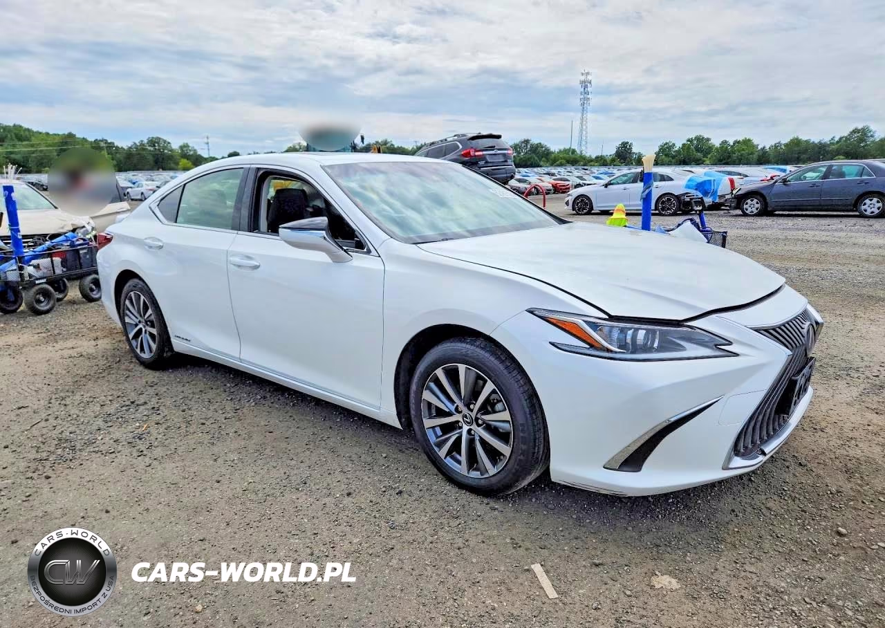 2019 Lexus Es 300H VIN:JTHB21B11K2057862 - 4