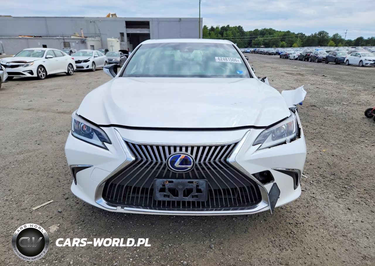 2019 Lexus Es 300H VIN:JTHB21B11K2057862 - 5