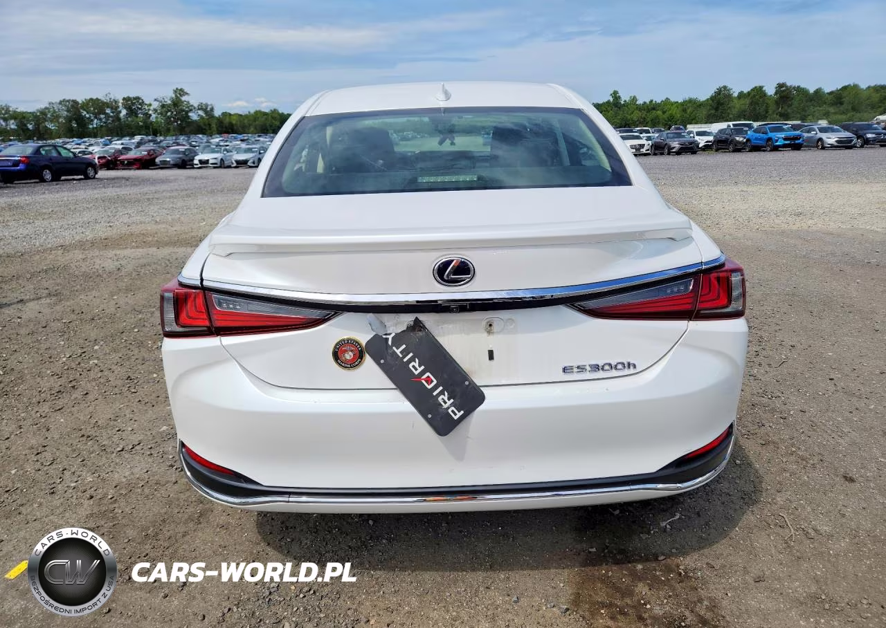 2019 Lexus Es 300H VIN:JTHB21B11K2057862 - 6