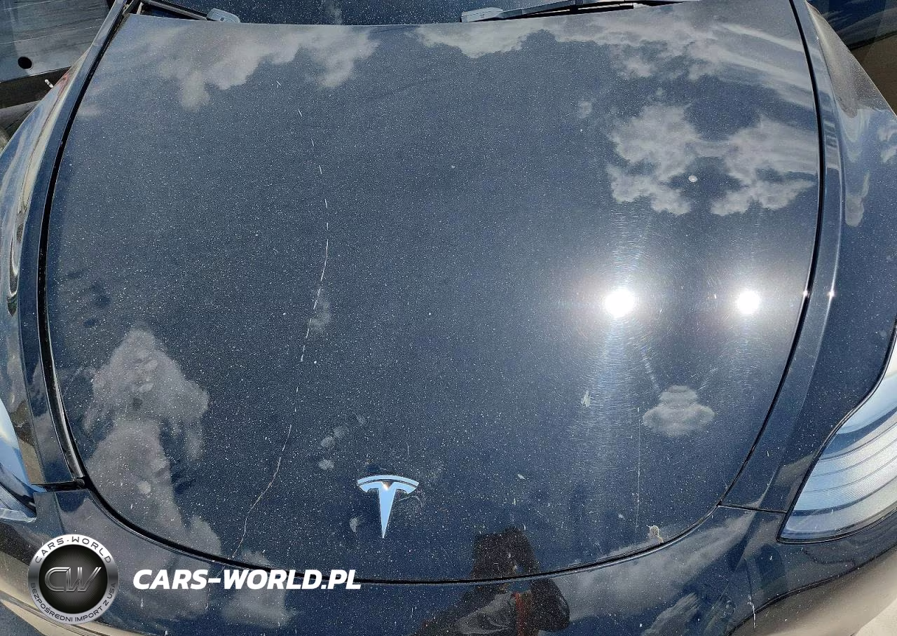2023 Tesla Model Y VIN:7SAYGAEE8PF832113 - 12