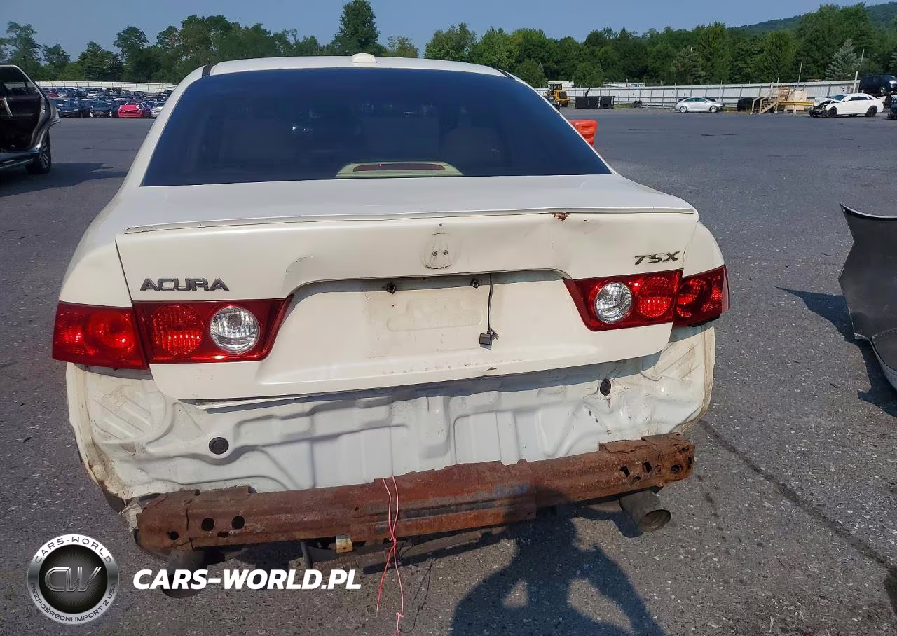 2005 Acura Tsx VIN:JH4CL96885C030339 - 6