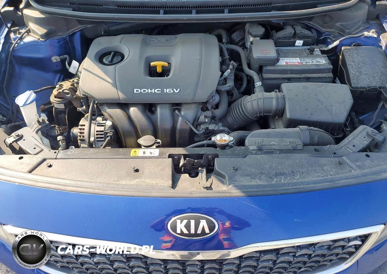 2017 Kia Forte Lx VIN:3KPFK4A79HE139117 - 11