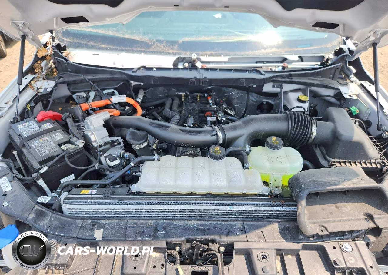 2025 Ford F150 Xlt VIN:1FTFW3LD0SFB15979 - 11
