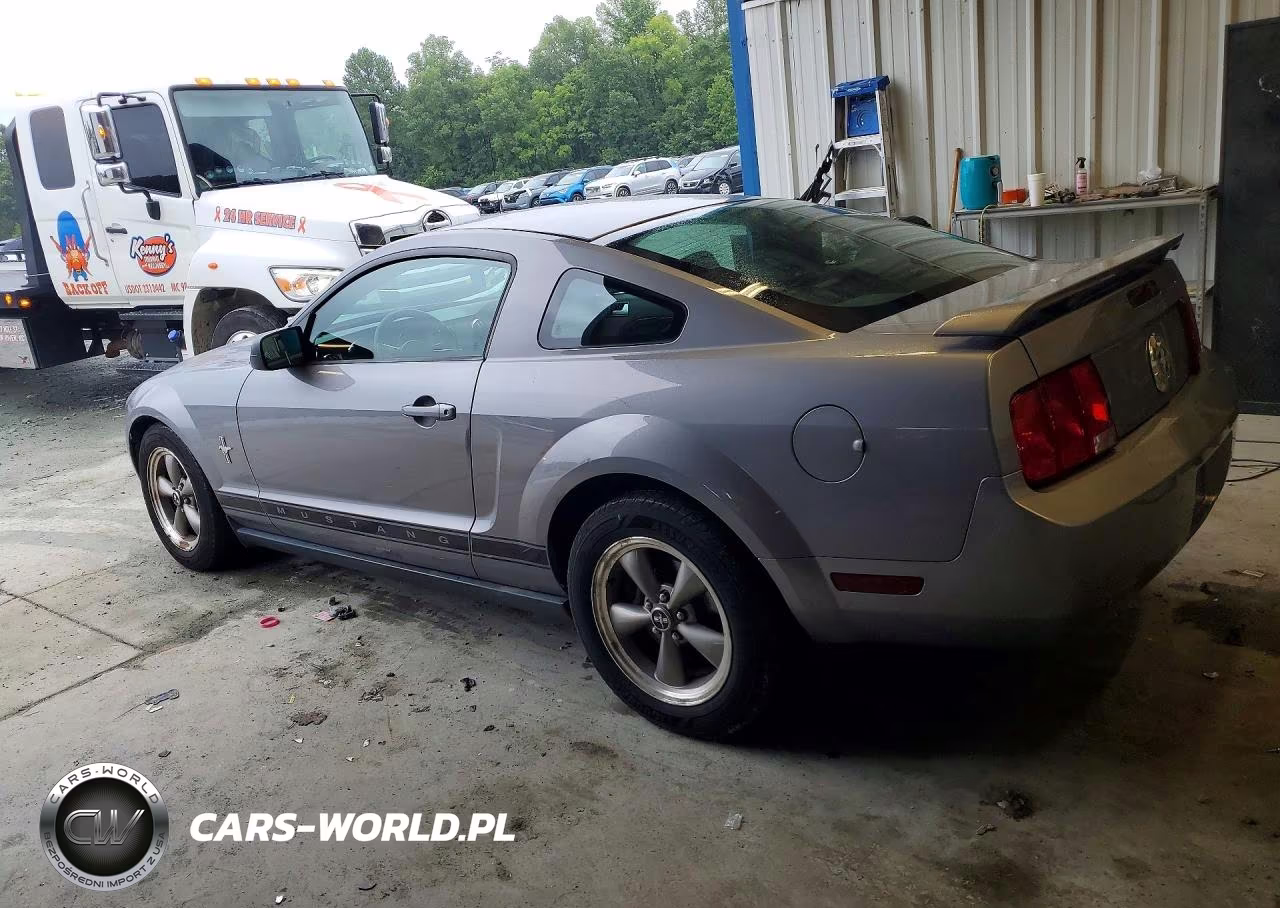 2006 Ford Mustang VIN:1ZVFT80N765175379 - 2