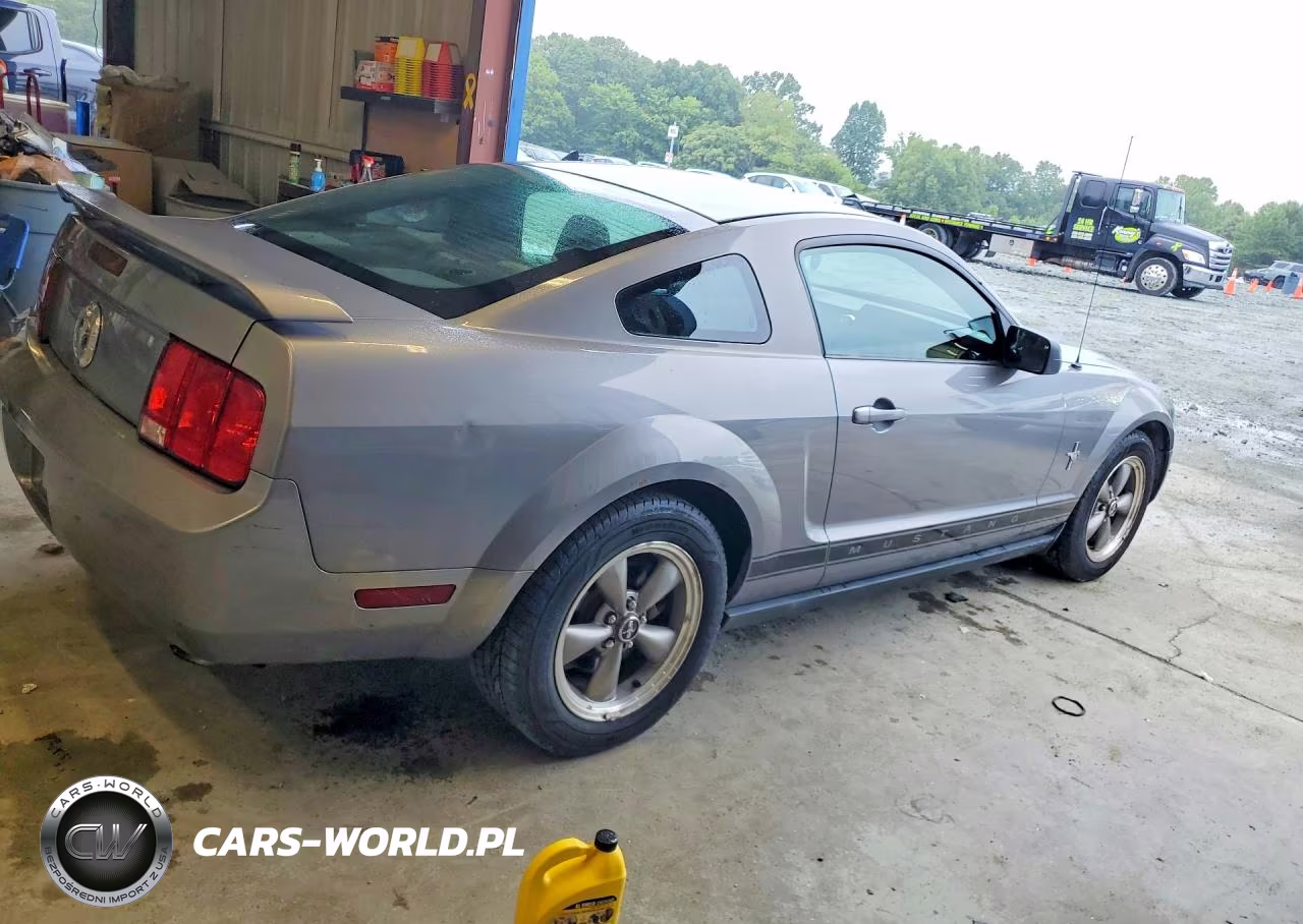 2006 Ford Mustang VIN:1ZVFT80N765175379 - 3