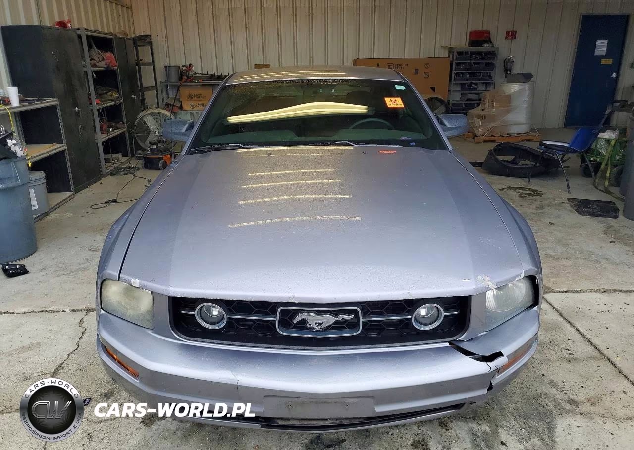 2006 Ford Mustang VIN:1ZVFT80N765175379 - 5