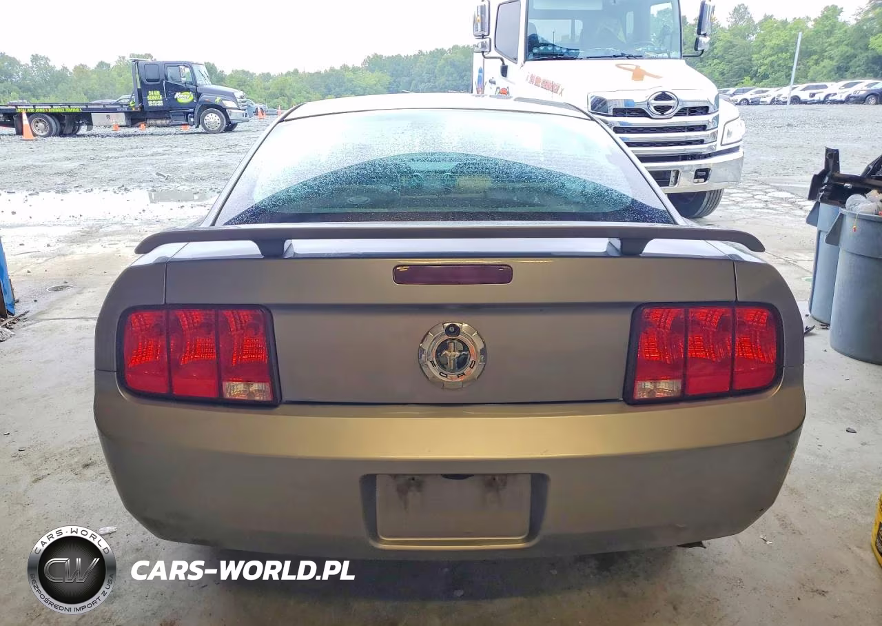 2006 Ford Mustang VIN:1ZVFT80N765175379 - 6