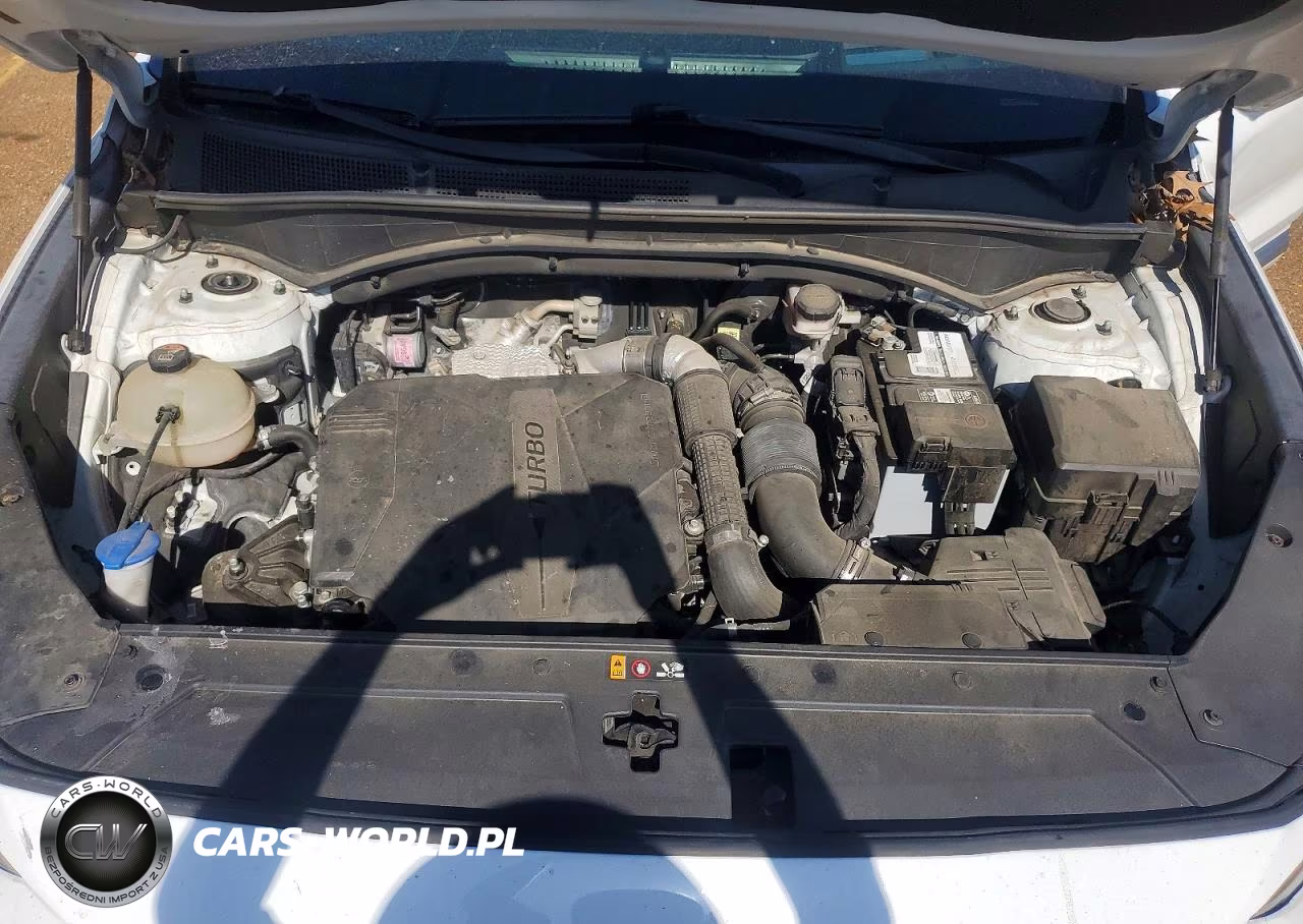 2021 Hyundai Santa Fe Calligraphy VIN:5NMS5DAL3MH344289 - 11