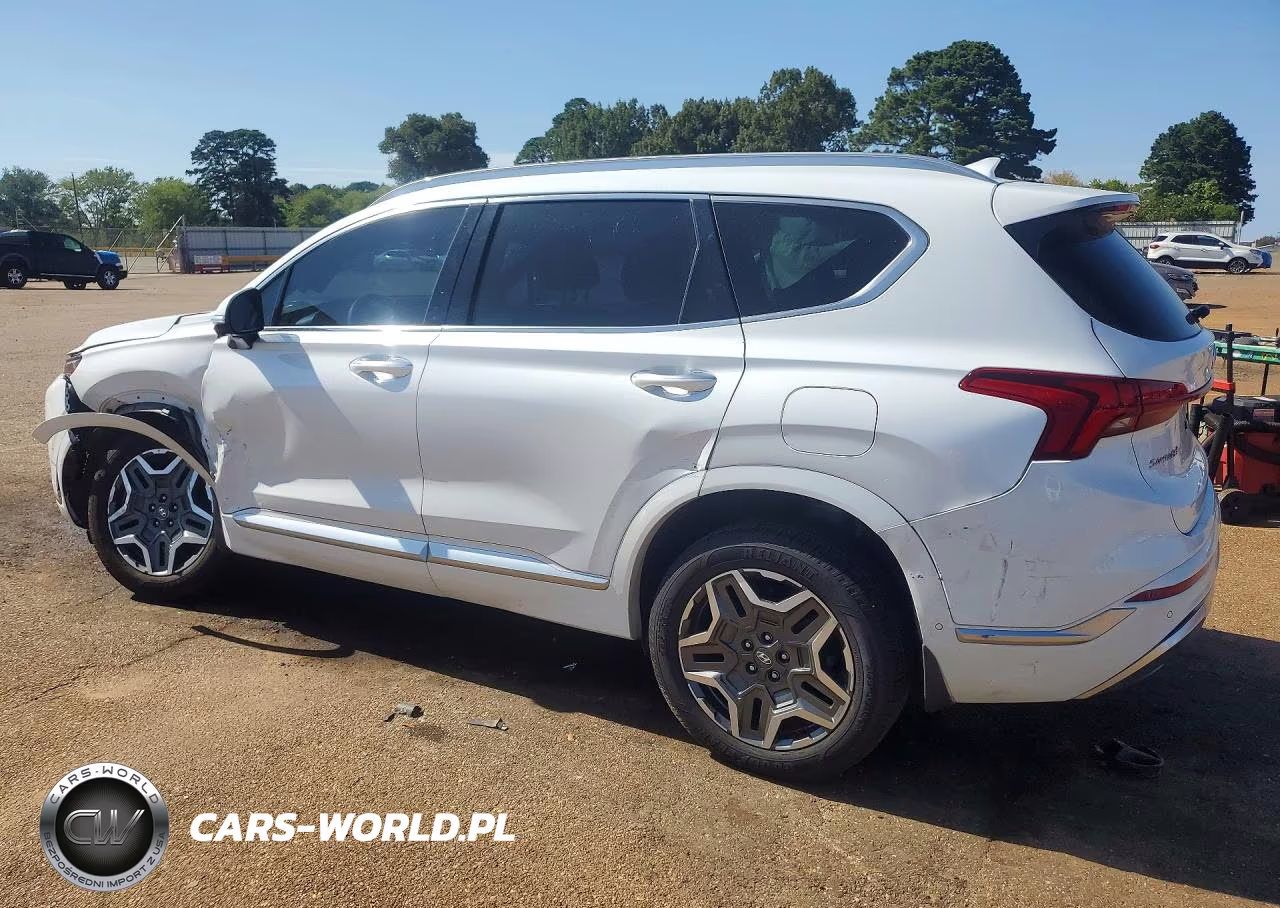 2021 Hyundai Santa Fe Calligraphy VIN:5NMS5DAL3MH344289 - 2