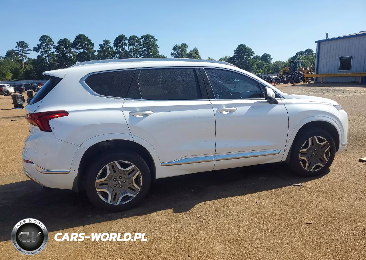 2021 Hyundai Santa Fe Calligraphy VIN:5NMS5DAL3MH344289 - 3