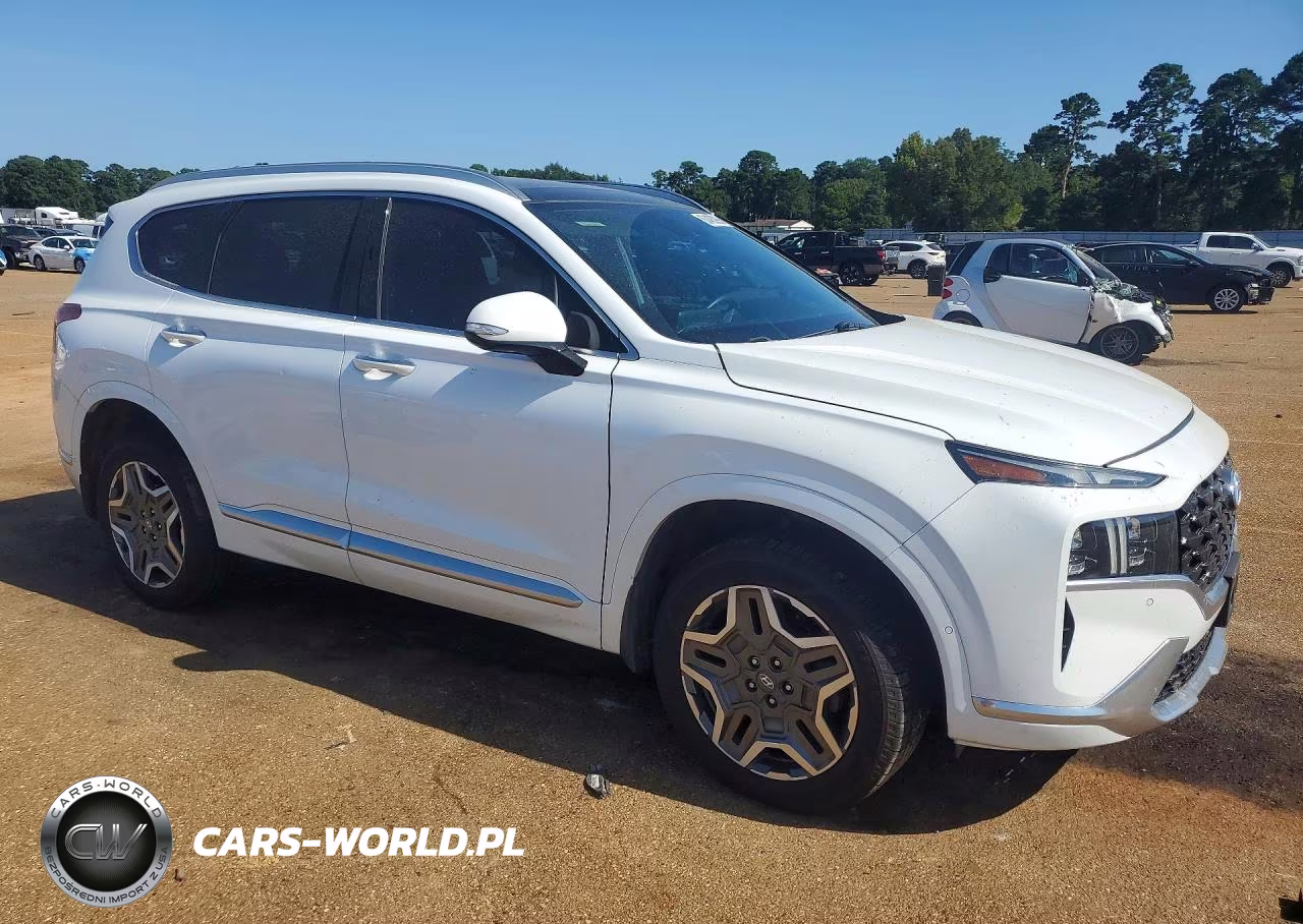 2021 Hyundai Santa Fe Calligraphy VIN:5NMS5DAL3MH344289 - 4