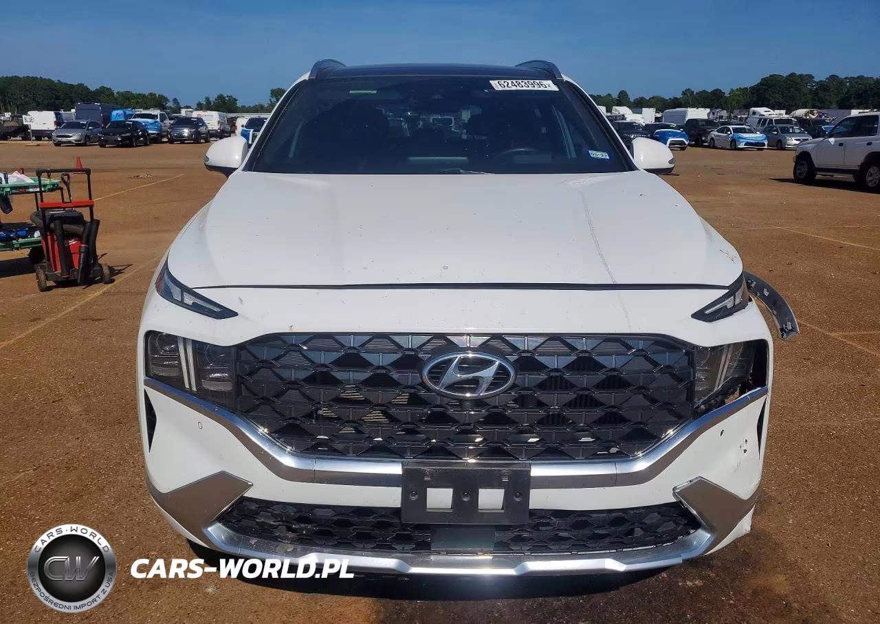 2021 Hyundai Santa Fe Calligraphy VIN:5NMS5DAL3MH344289 - 5