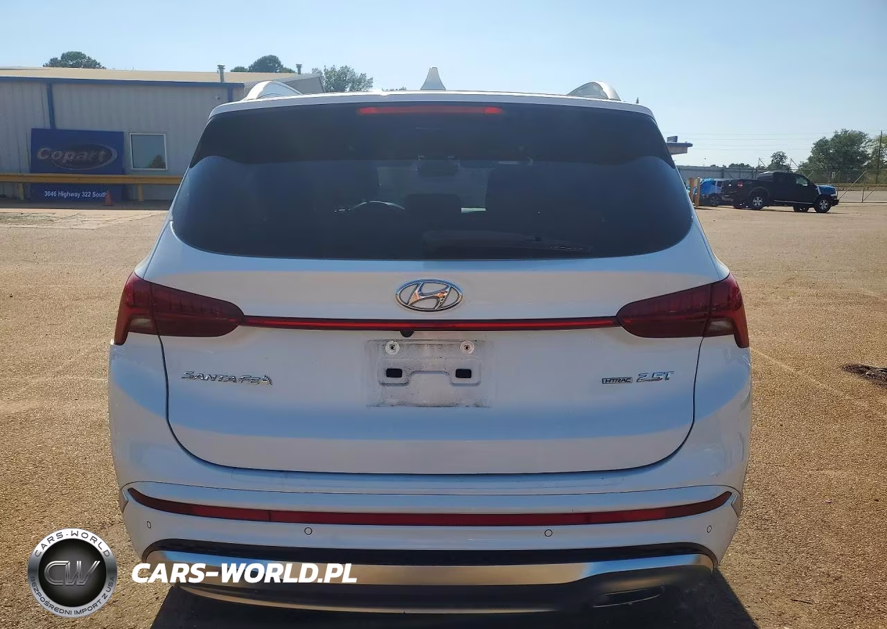 2021 Hyundai Santa Fe Calligraphy VIN:5NMS5DAL3MH344289 - 6