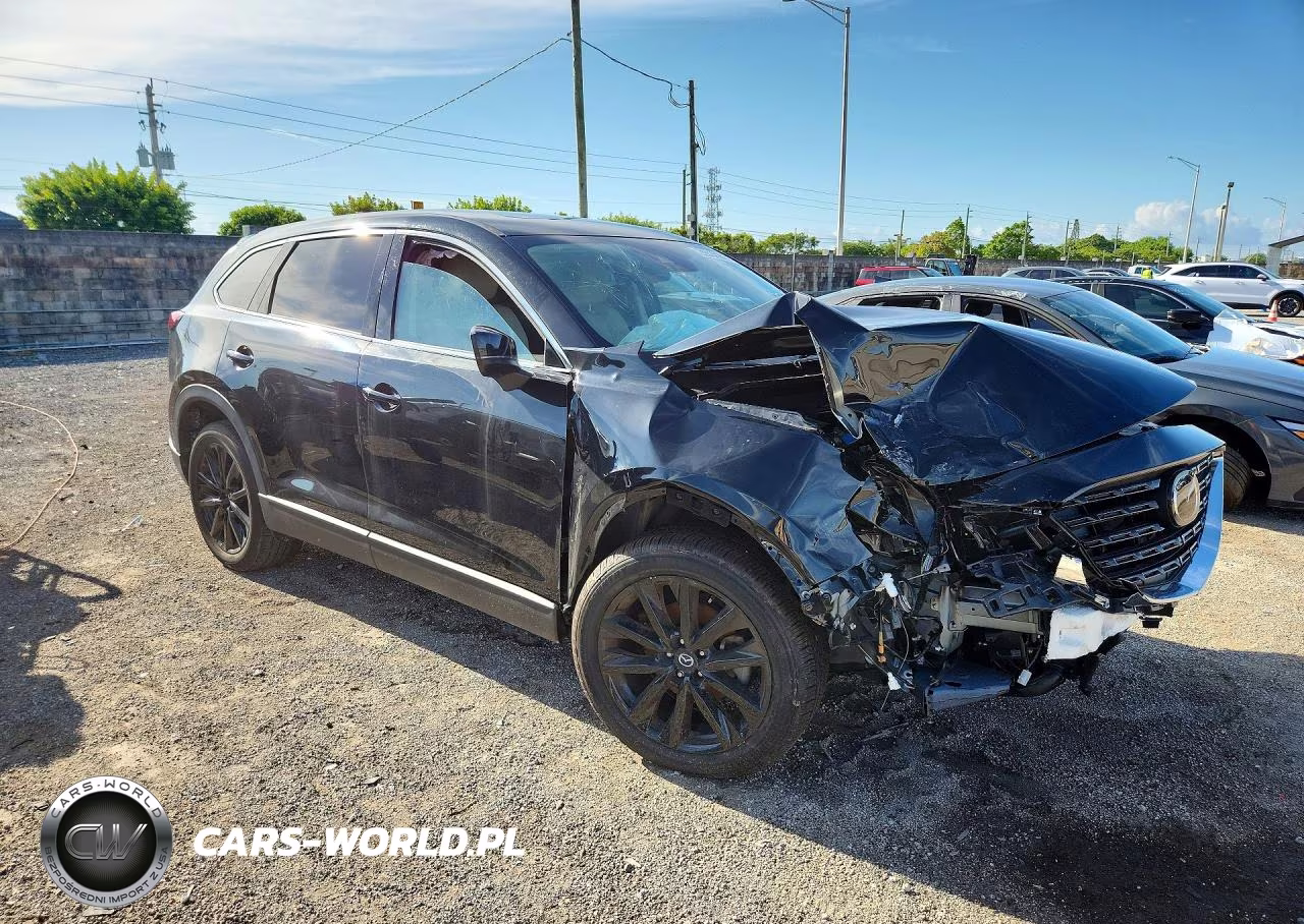 2023 Mazda Cx-9 Touring Plus VIN:JM3TCBAYXP0650931 - 4