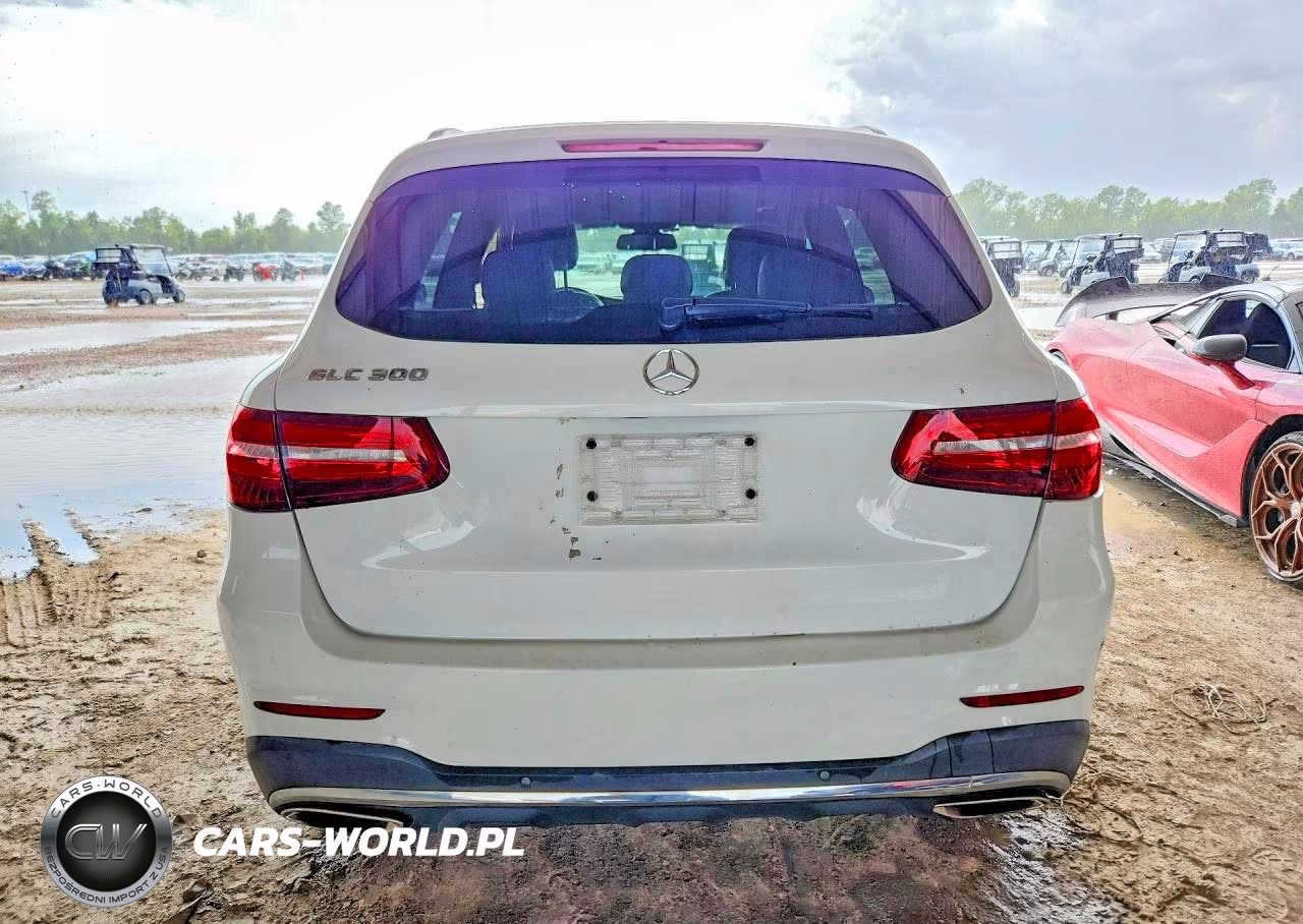 2017 Mercedes-Benz Glc 300 VIN:WDC0G4JB0HF134643 - 6
