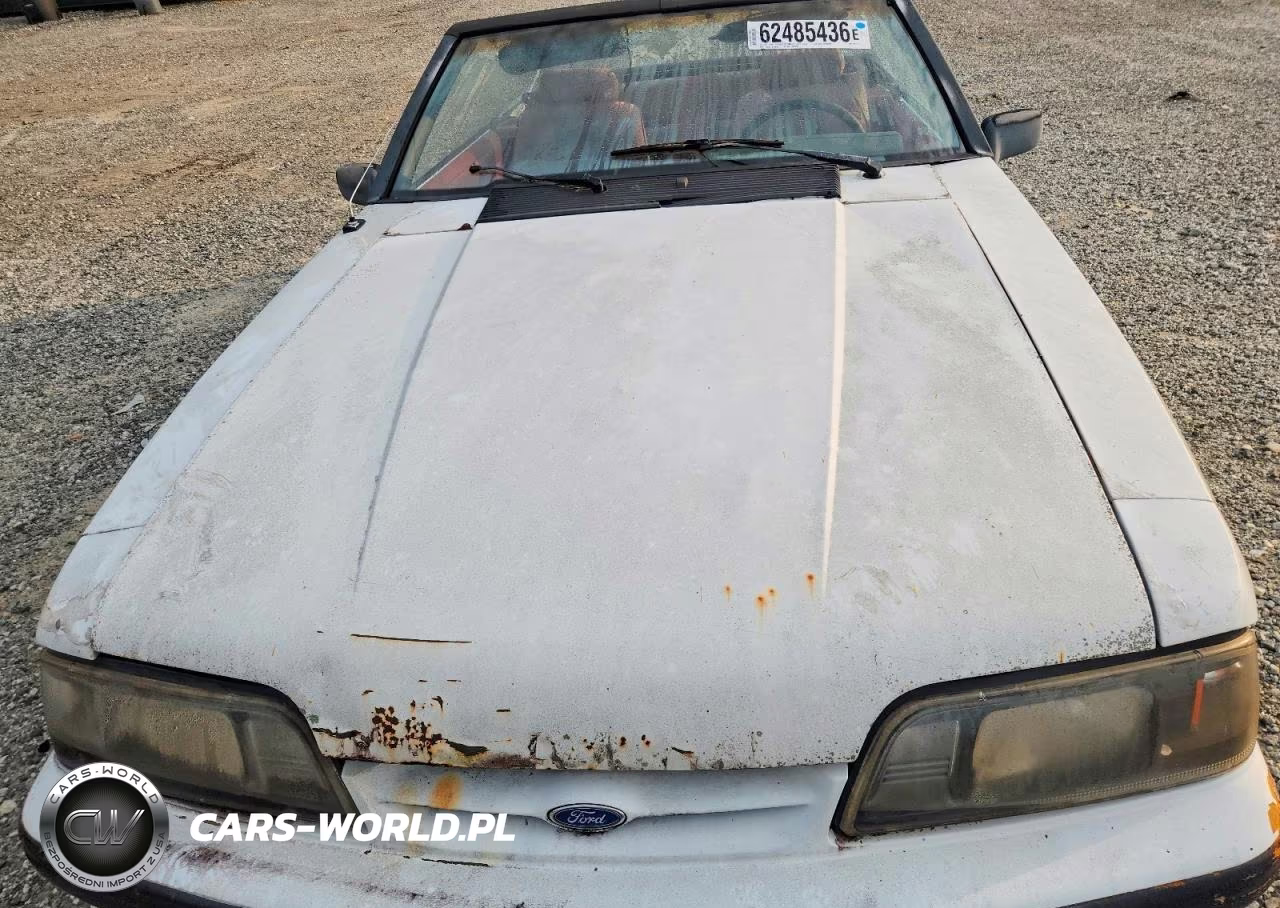 1991 Ford Mustang Lx VIN:1FACP44M7MF170197 - 11