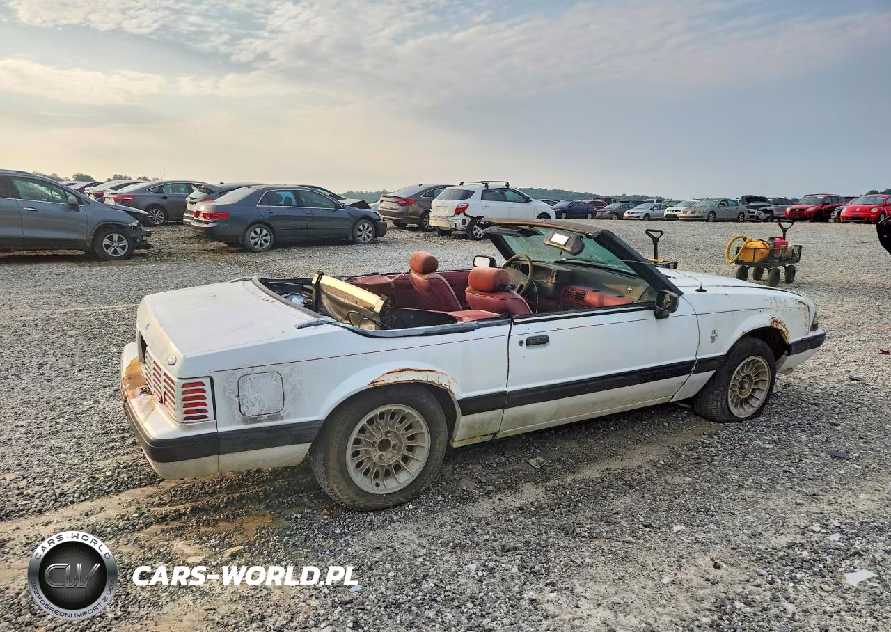 1991 Ford Mustang Lx VIN:1FACP44M7MF170197 - 3
