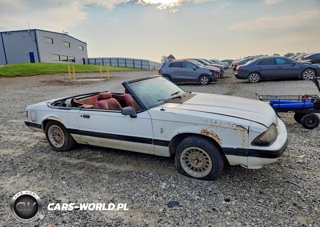 1991 Ford Mustang Lx VIN:1FACP44M7MF170197 - 4
