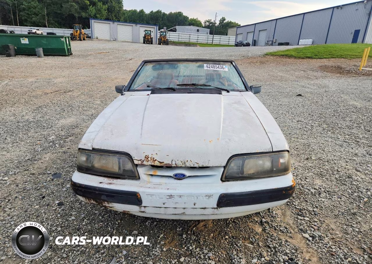 1991 Ford Mustang Lx VIN:1FACP44M7MF170197 - 5