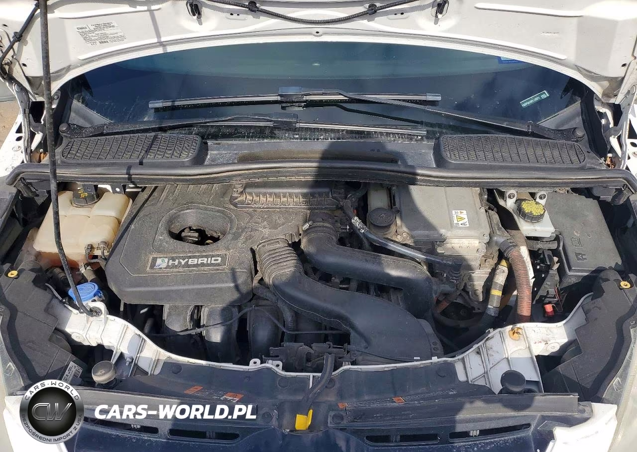 2015 Ford C-Max Se VIN:1FADP5AU9FL120372 - 11