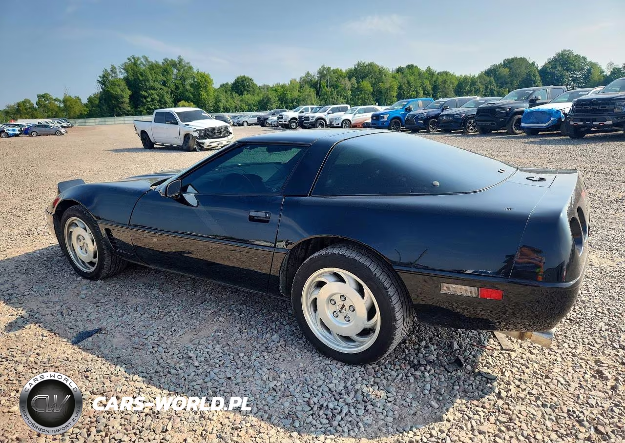 1995 Chevrolet Corvette VIN:1G1YY22P3S5111982 - 2