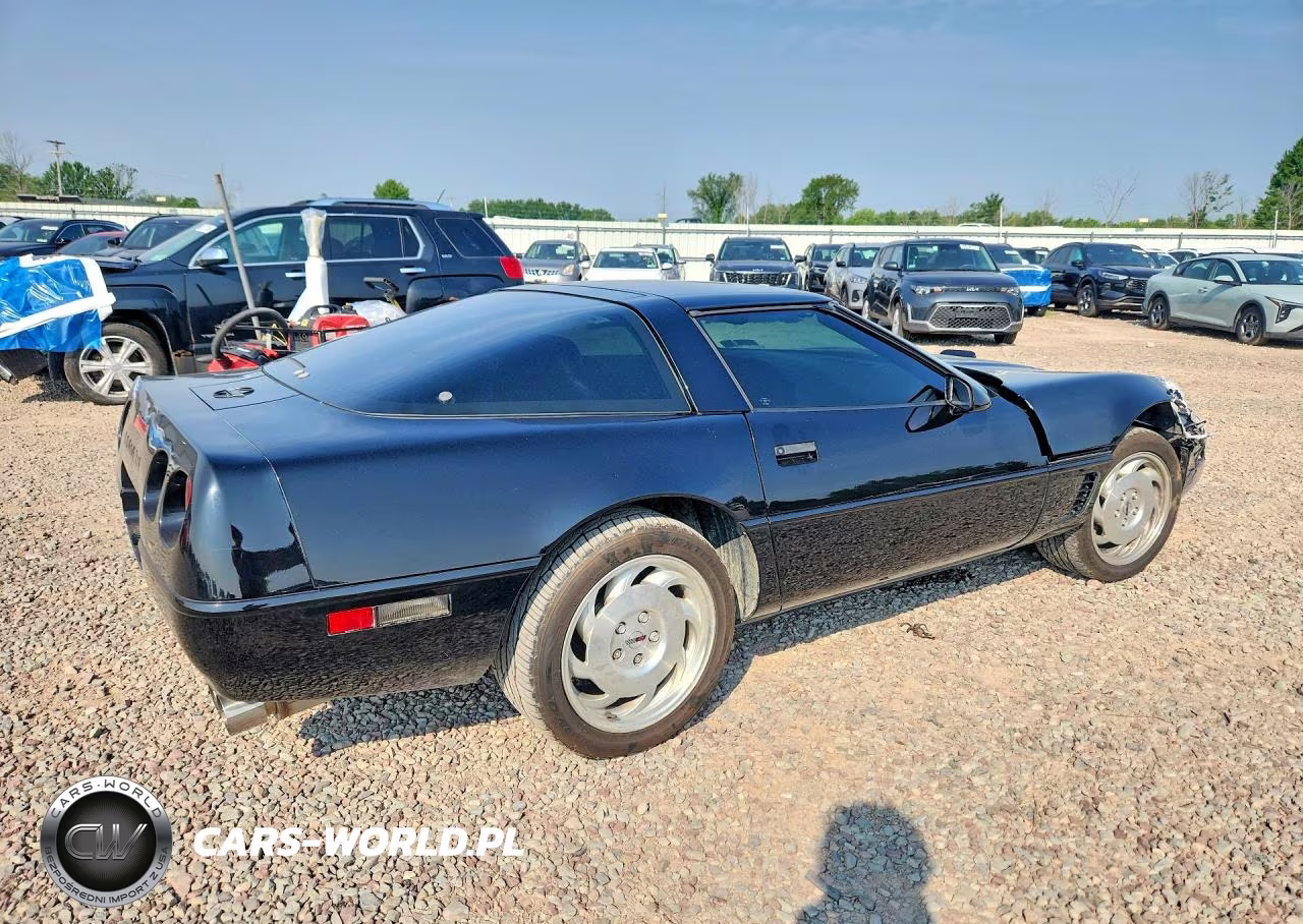 1995 Chevrolet Corvette VIN:1G1YY22P3S5111982 - 3