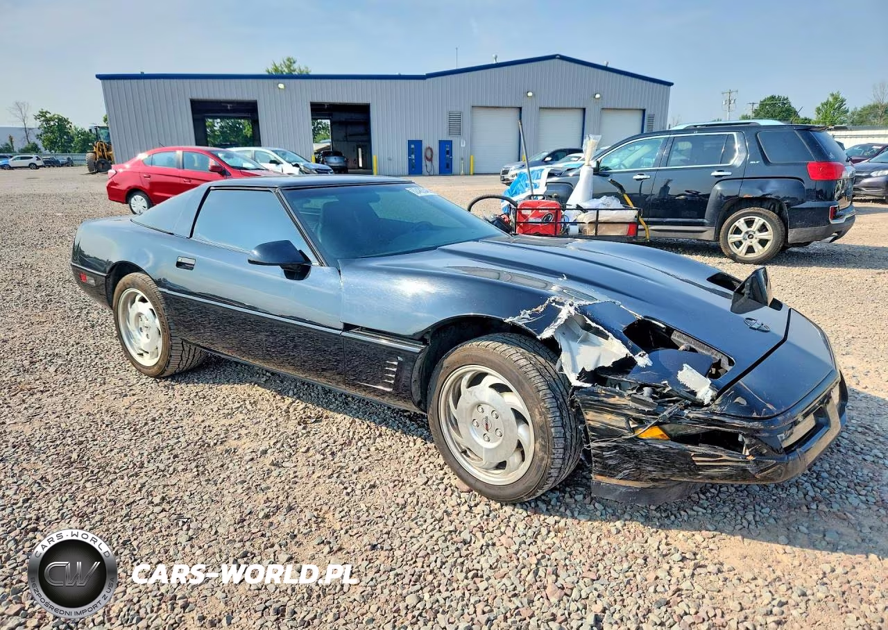 1995 Chevrolet Corvette VIN:1G1YY22P3S5111982 - 4