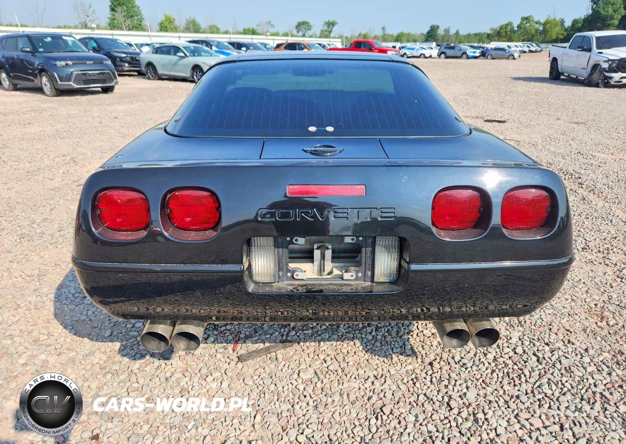 1995 Chevrolet Corvette VIN:1G1YY22P3S5111982 - 6