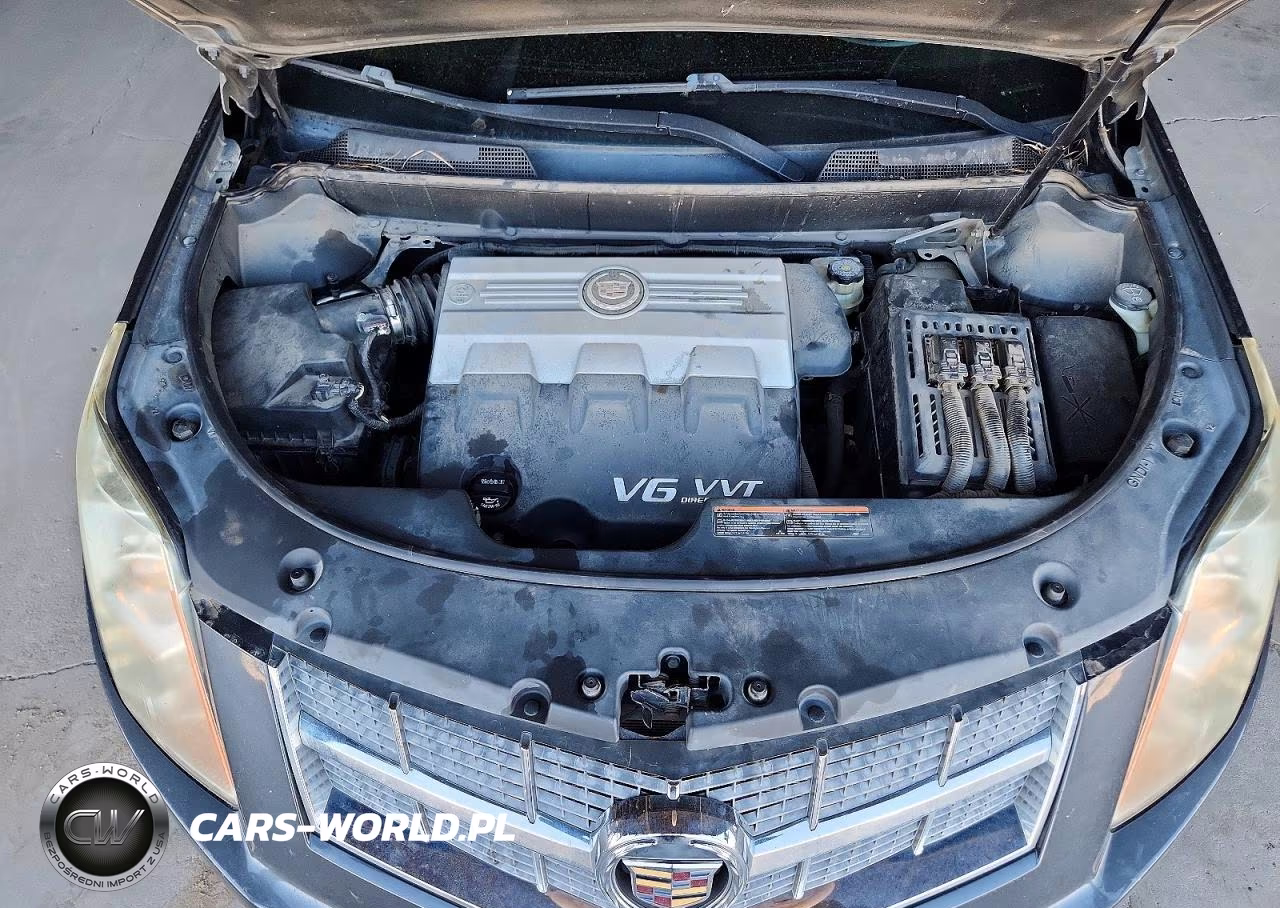 2010 Cadillac Srx Luxury Collection VIN:3GYFNAEY0AS612218 - 11