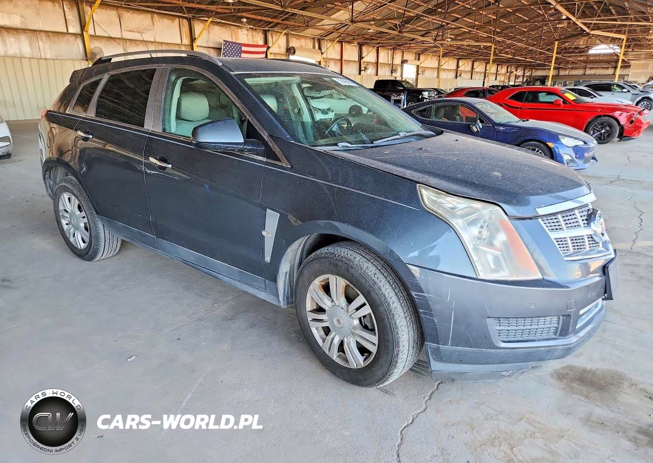 2010 Cadillac Srx Luxury Collection VIN:3GYFNAEY0AS612218 - 4