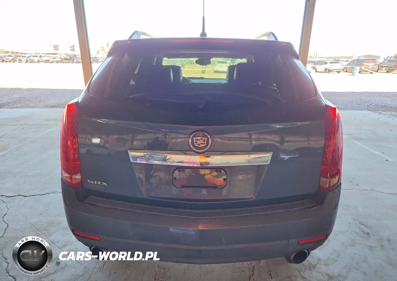 2010 Cadillac Srx Luxury Collection VIN:3GYFNAEY0AS612218 - 6
