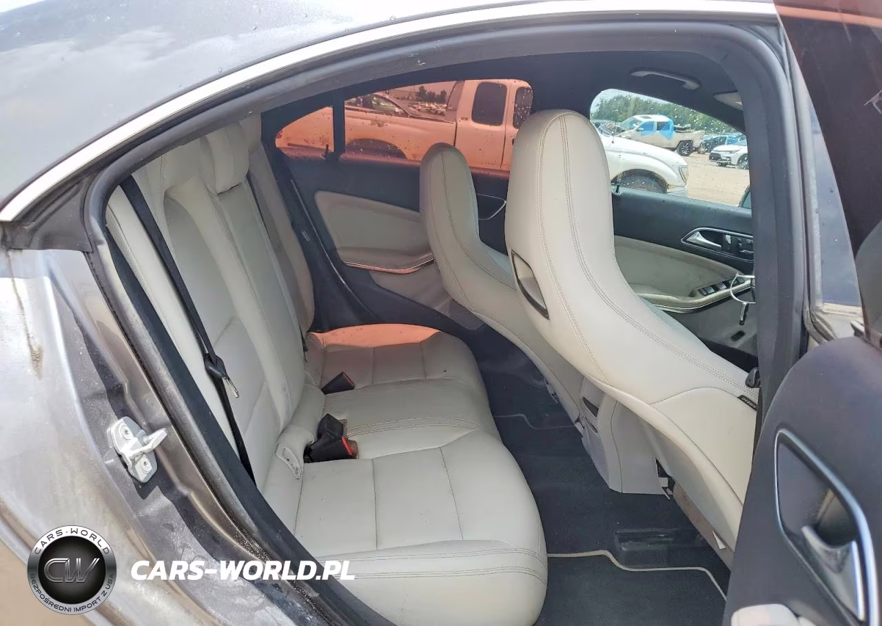2014 Mercedes-Benz Cla 250 VIN:WDDSJ4EB0EN144736 - 10