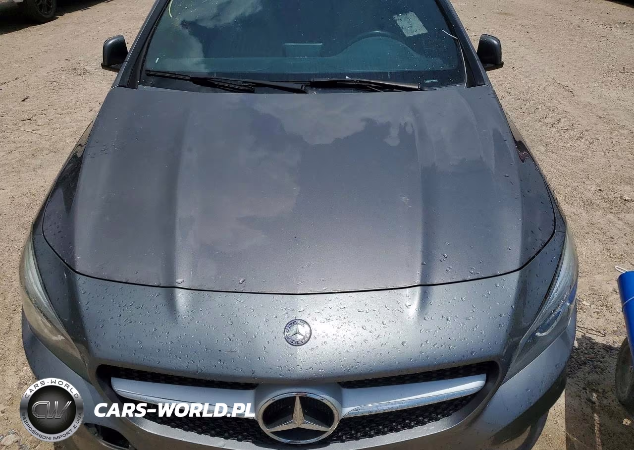 2014 Mercedes-Benz Cla 250 VIN:WDDSJ4EB0EN144736 - 11
