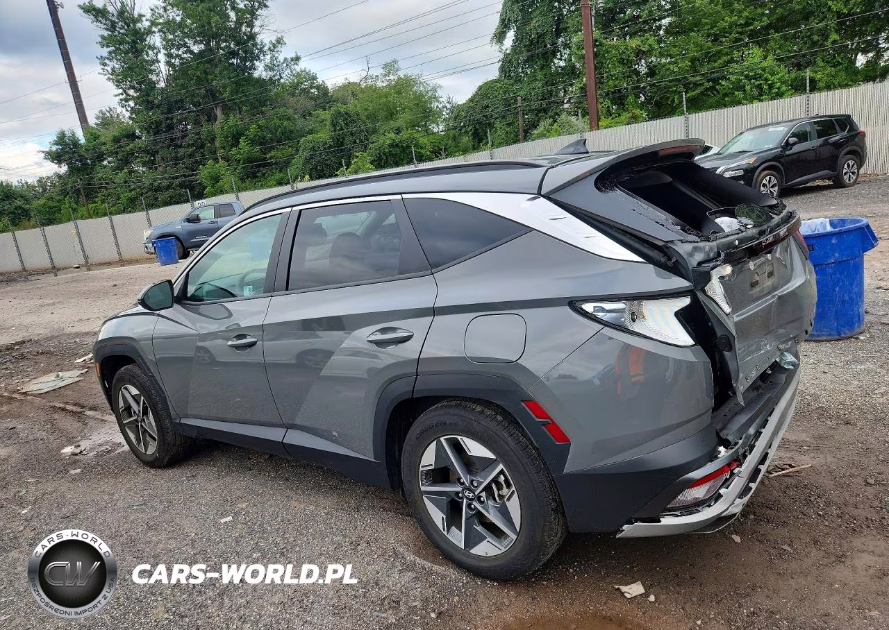 2025 Hyundai Tucson Sel VIN:5NMJBCDE0SH485197 - 2