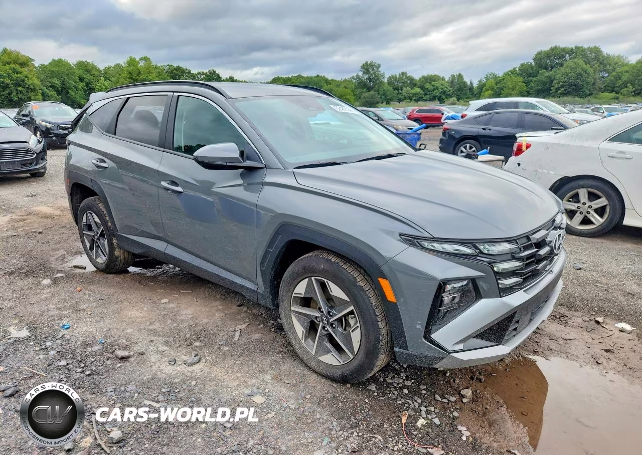 2025 Hyundai Tucson Sel VIN:5NMJBCDE0SH485197 - 4