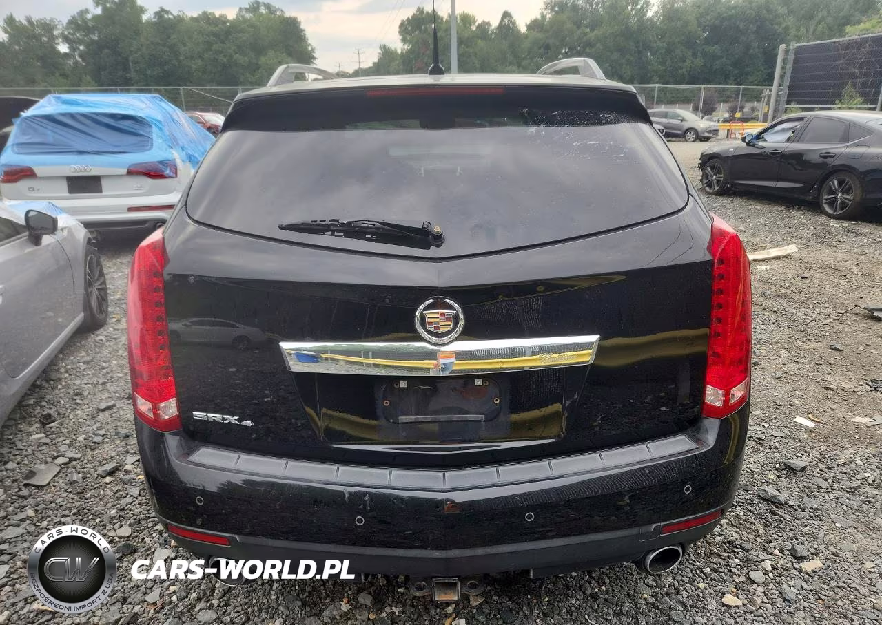 2010 Cadillac Srx Luxury Collection VIN:3GYFNDEY5AS573899 - 6