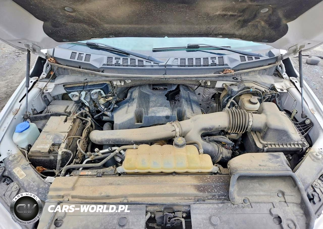 2020 Ford F150 Supercrew VIN:1FTEW1E47LFC79616 - 11