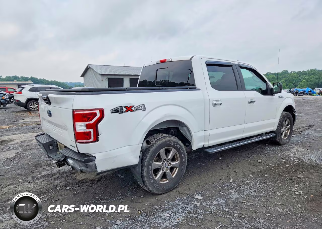 2020 Ford F150 Supercrew VIN:1FTEW1E47LFC79616 - 3