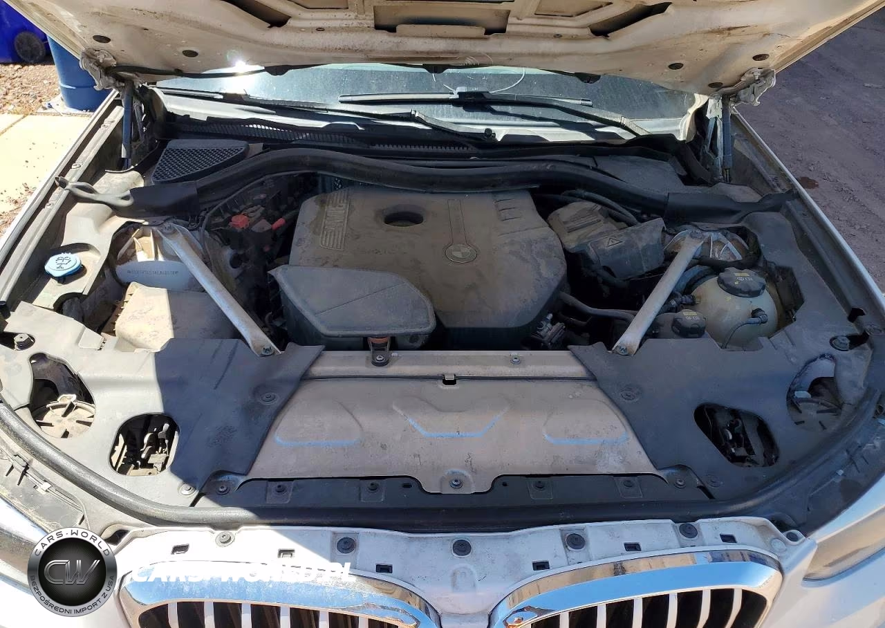 2019 BMW X3 Sdrive30I VIN:5UXTR7C51KLA48578 - 12