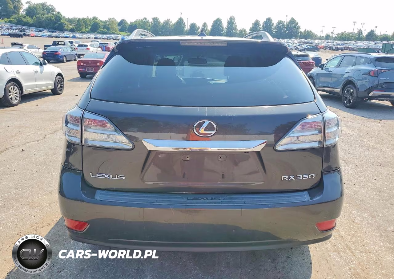2010 Lexus Rx 350 VIN:2T2BK1BA2AC025709 - 6