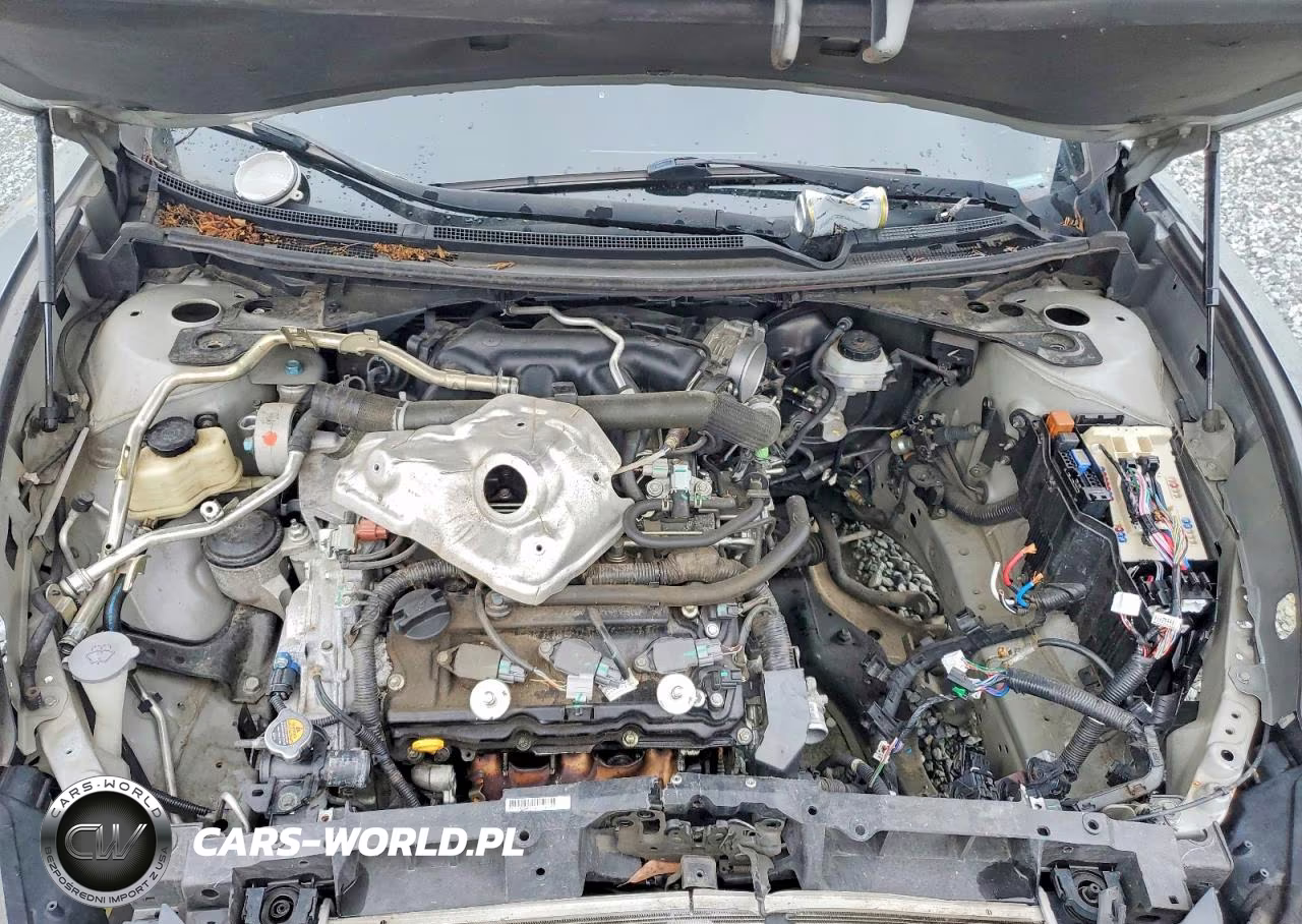 2009 Nissan Maxima 3.5 S VIN:1N4AA51E99C846654 - 11