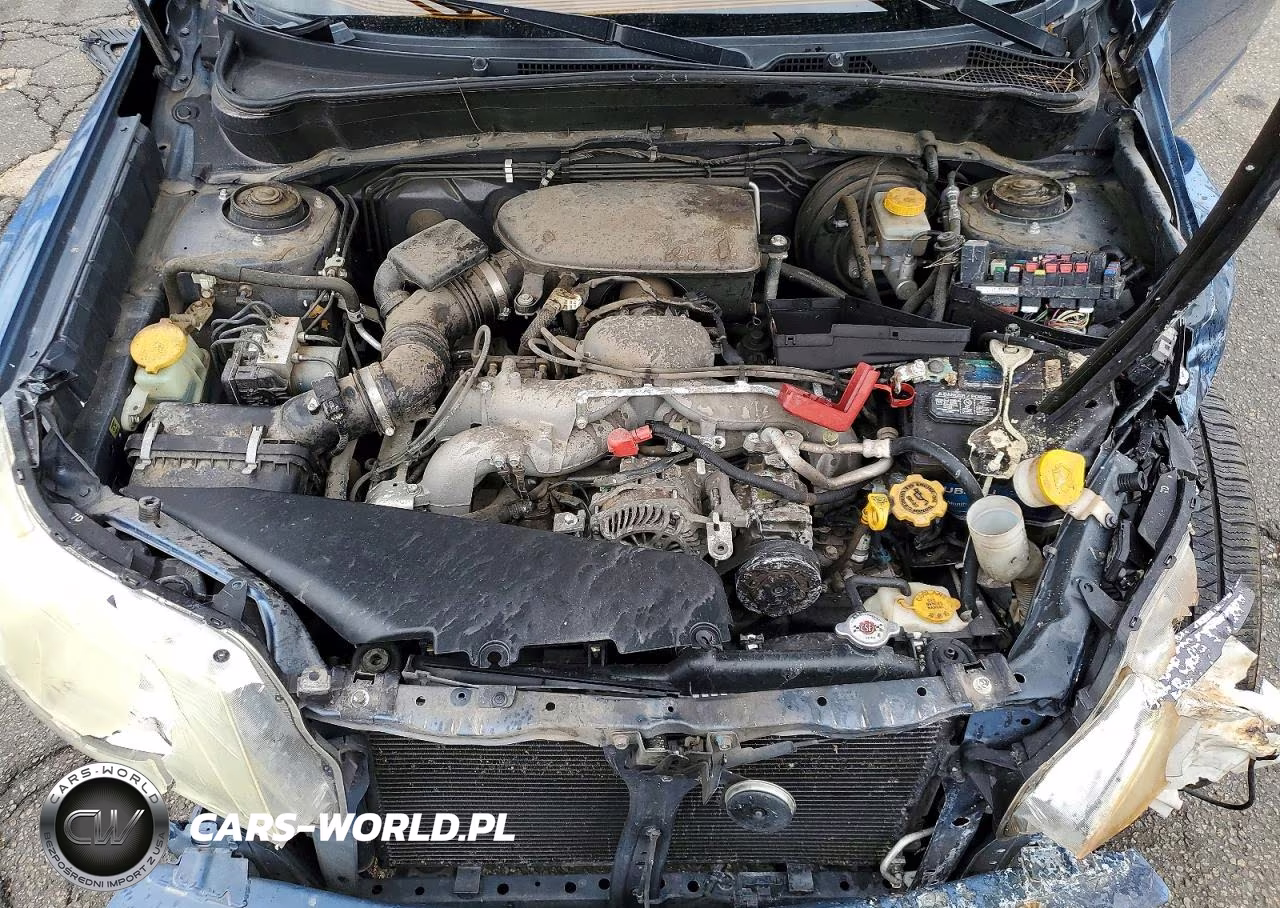 2009 Subaru Forester 2.5X Premium VIN:JF2SH63649H765880 - 11