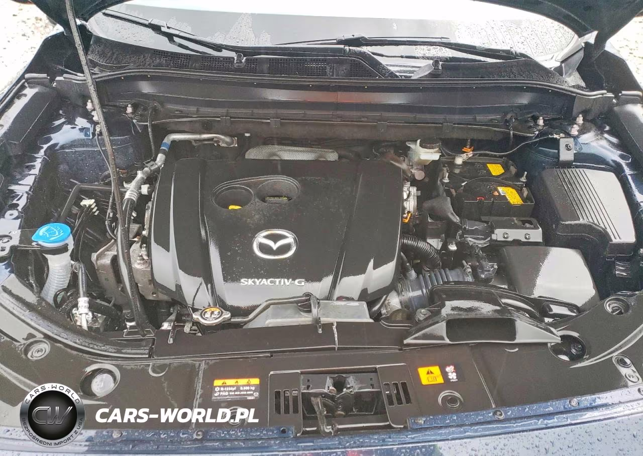 2023 Mazda Cx-5 Premium VIN:JM3KFBDM5P0254269 - 11