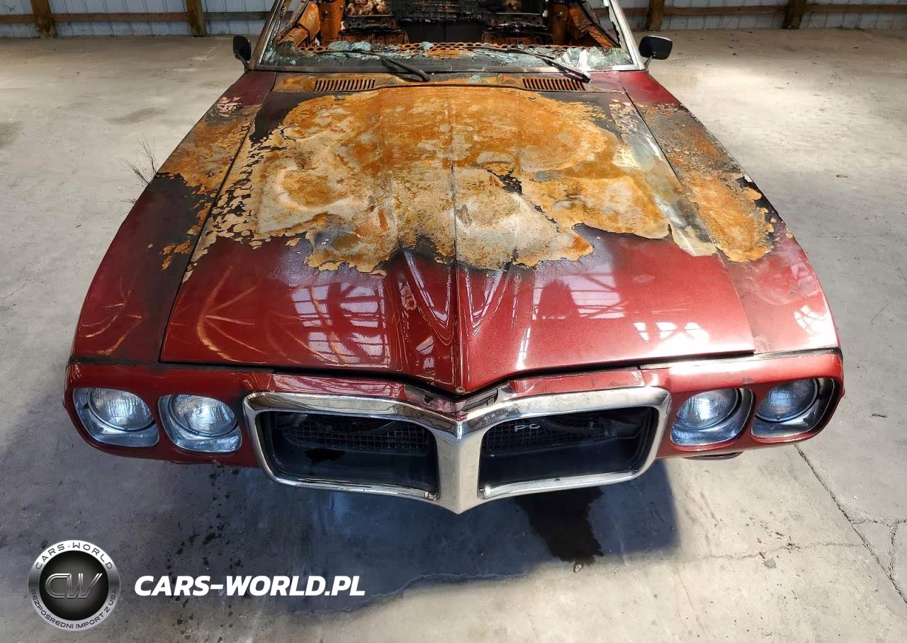 1969 Pontiac Firebird VIN:223679U109688 - 11
